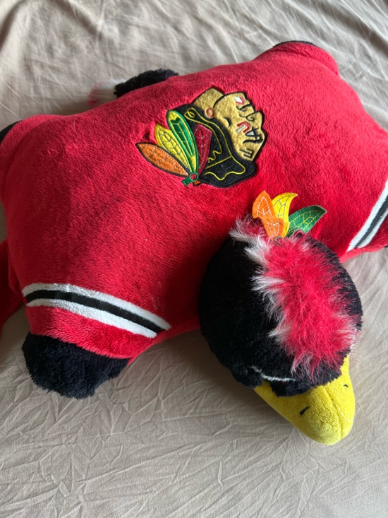 NHL Other - Chicago Blackhawks NHL Official Discontinued 18” Pillow Pet